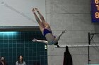 Women's Diving  Wheaton College Women’s Diving vs Mount Holyoke College. - Photo by Keith Nordstrom : Wheaton, Swimming & Diving